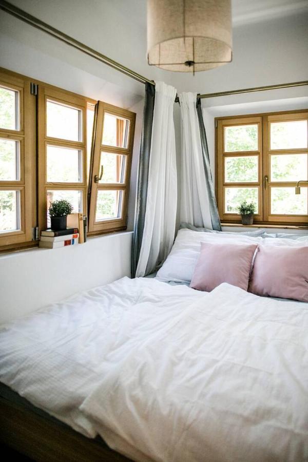 Apartment Aussee- Beletage Salzherrenhof- Kueche, Wlan, Netflix Bad Aussee Extérieur photo