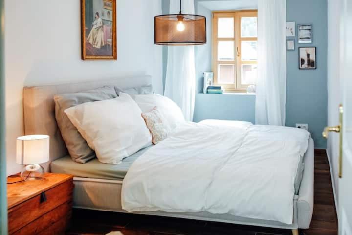 Apartment Aussee- Beletage Salzherrenhof- Kueche, Wlan, Netflix Bad Aussee Extérieur photo