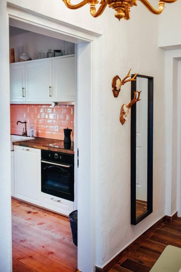 Apartment Aussee- Beletage Salzherrenhof- Kueche, Wlan, Netflix Bad Aussee Extérieur photo